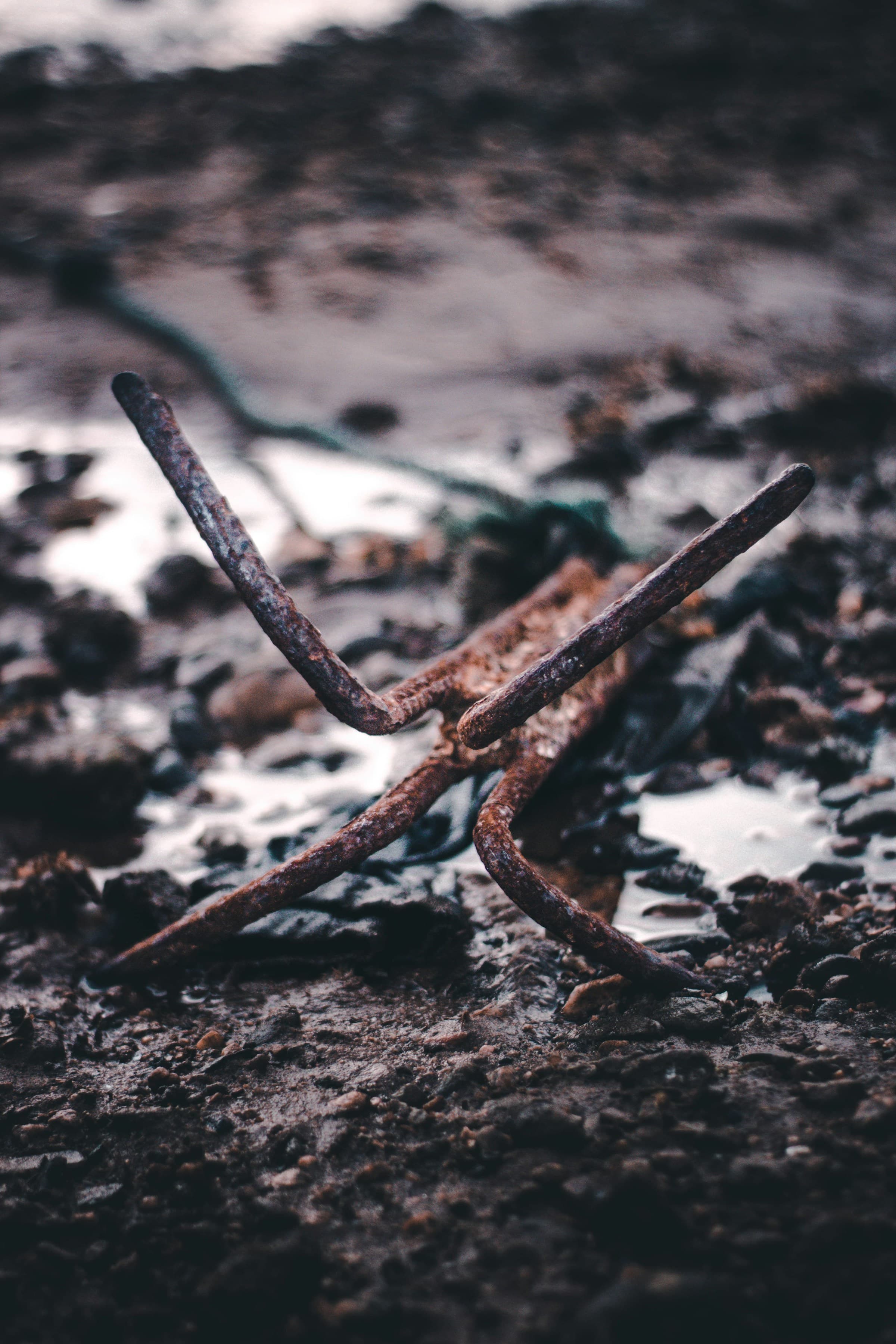 Anchor on the shore—the ministry's purpose
